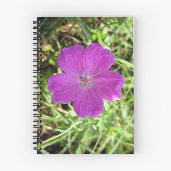 Item preview, Bloody Cranesbill designed and sold by John Quinn.
