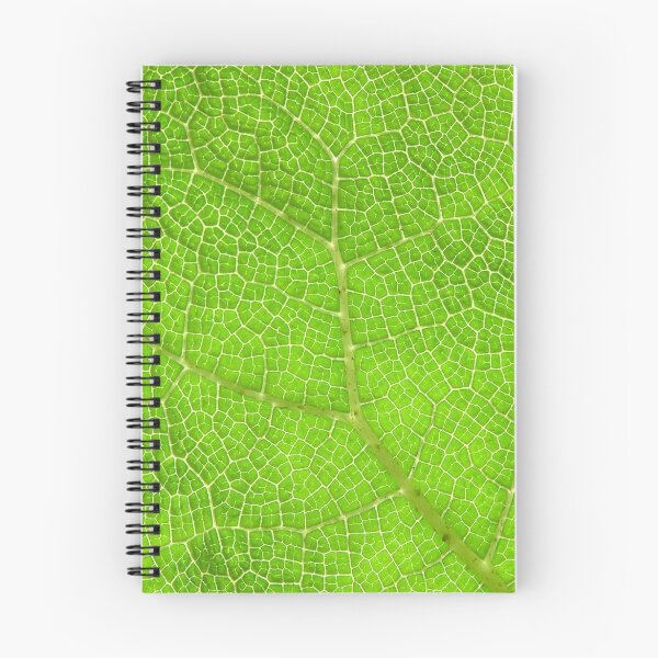 Item preview, Gunnera designed and sold by Neil Bygrave (NATURELENS).