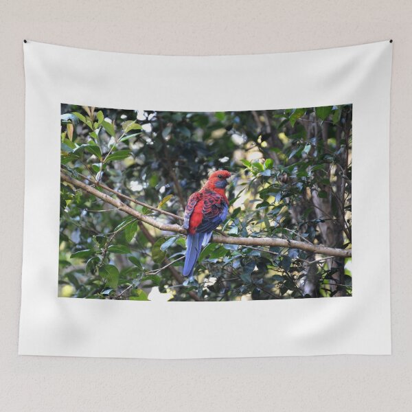 Item preview, Crimson Rosella designed and sold by CodyLaskeyPhoto.