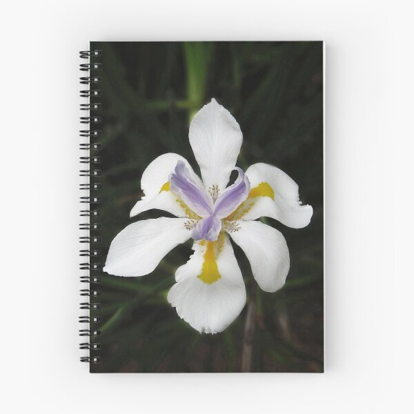 Item preview, African White Iris designed and sold by Ellen Cotton.