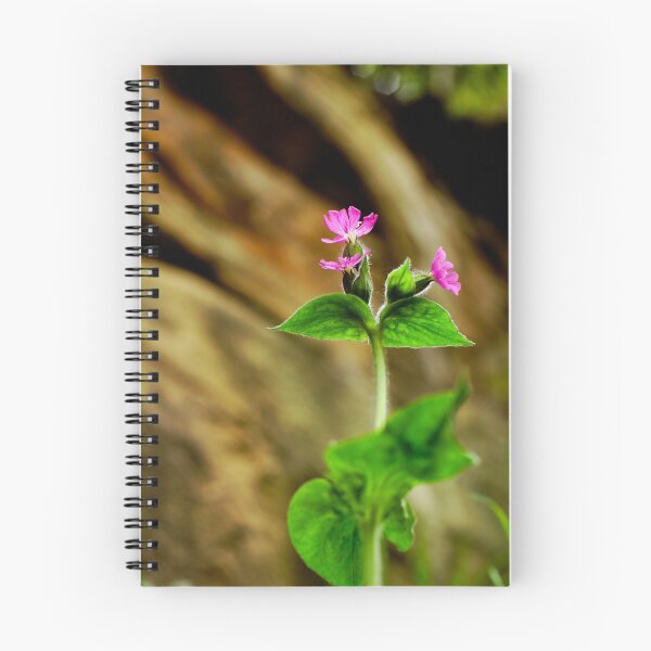Item preview, Red Campion designed and sold by Chris McIlreavy.