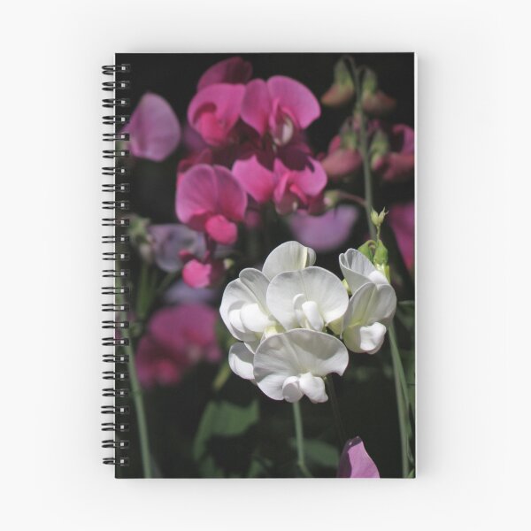Item preview, Distinct designed and sold by Patty Lewis.