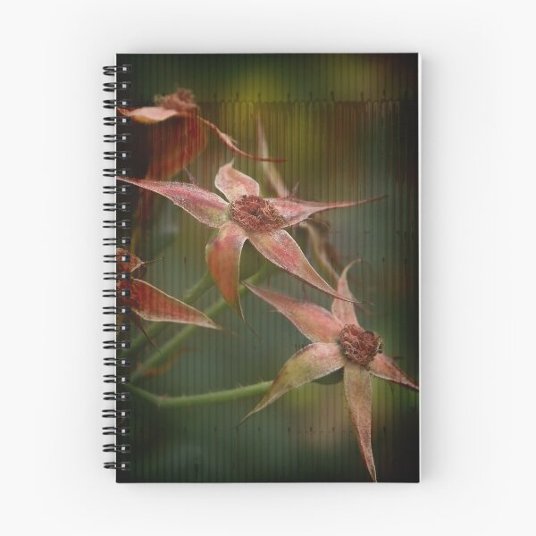 Item preview, Rust 'n Roses ~ #6 designed and sold by Rosalie Dale.