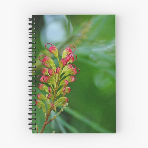 Artikelvorschau, grevillea entworfen und verkauft von feeee.