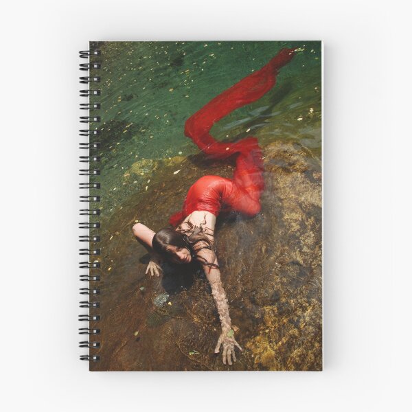 Aperçu de l'œuvre Sirene créée et vendue par Joseph Angilella AUQUIER.