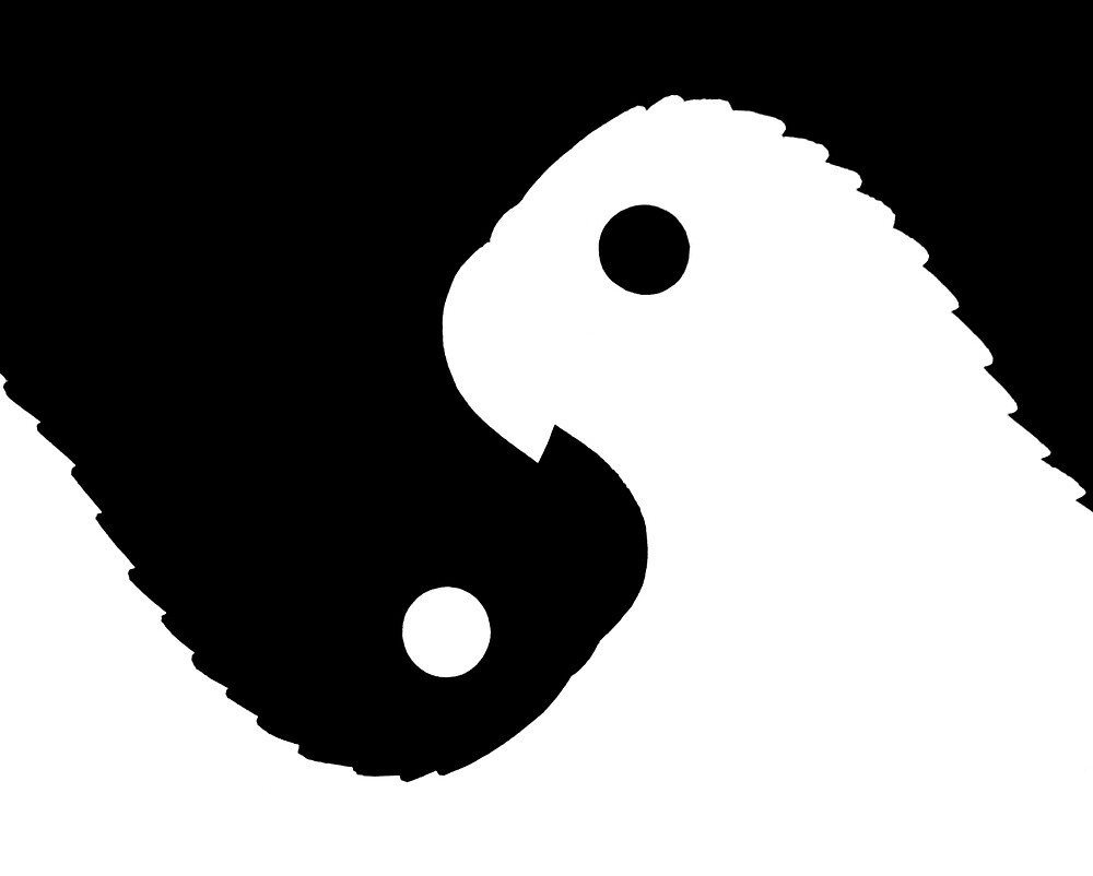 "Yinyang Parrots Figure-Ground Reversal" by MichelleLyon | Redbubble