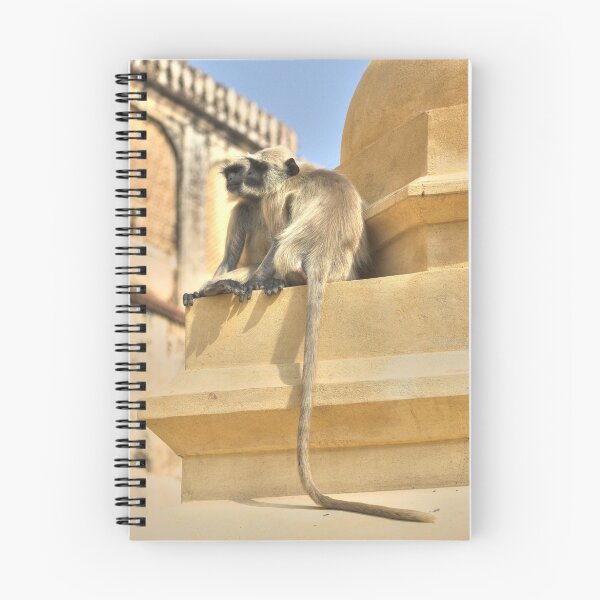 Item preview, Monkeys at Jaipur designed and sold by John Murray.