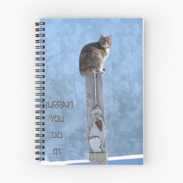 Item preview, You Did It! designed and sold by L J Fraser.