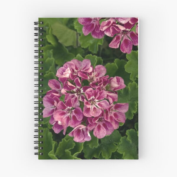 Item preview, Geranium designed and sold by Memaa.