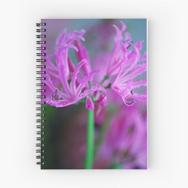 Item preview, Pink & Frilly designed and sold by Extraordinary Light.