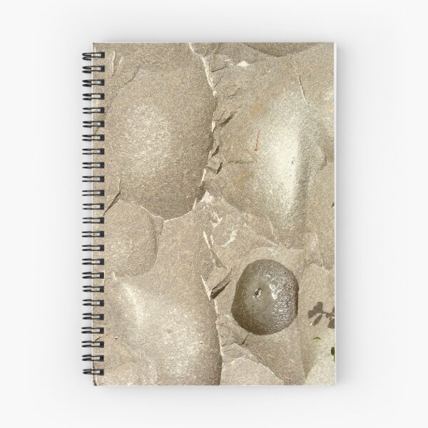Item preview, Wet Spot designed and sold by RobertCharles.