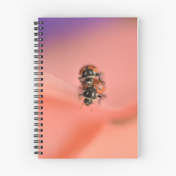 Item preview, Lady Bug Love designed and sold by Judy Ann  Grant.