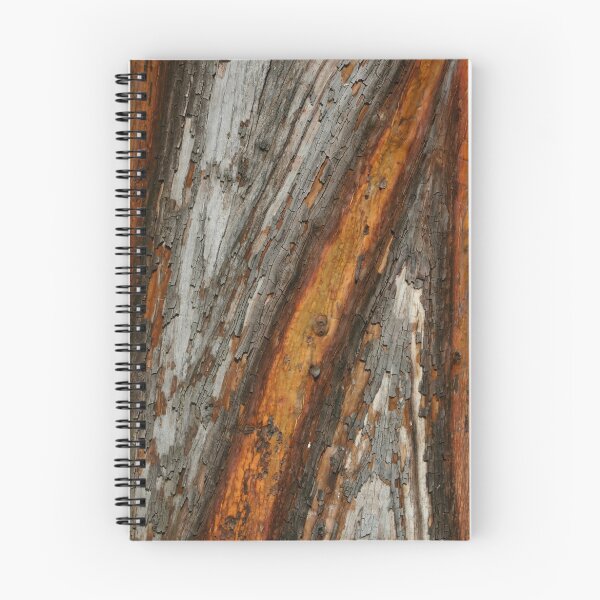 Aperçu de l'œuvre Bark of a tree créée et vendue par Barb White.