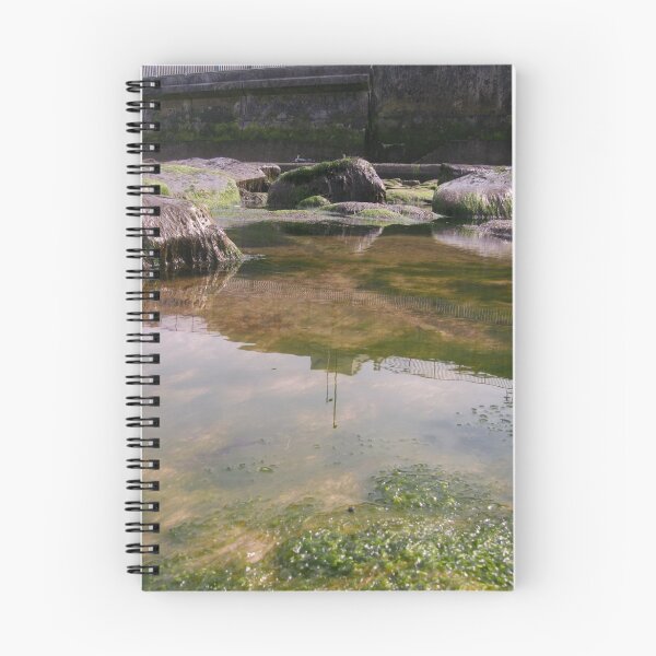 Item preview, Reflection designed and sold by Jorga.