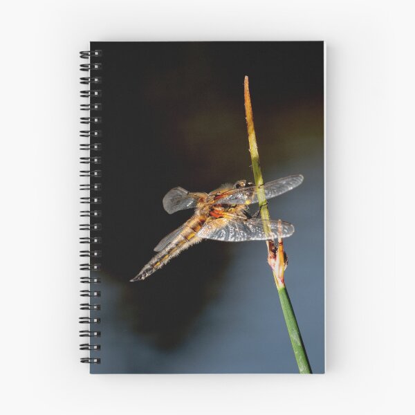 Item preview, Dragonfly designed and sold by MickSmithPhoto.