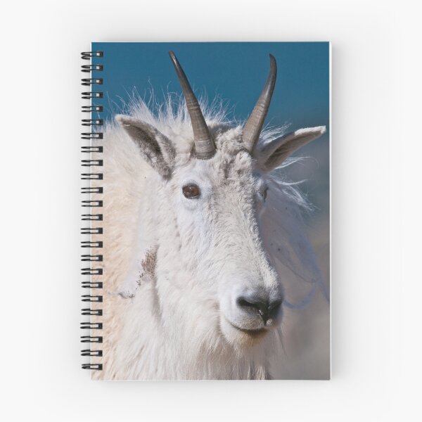 Artikelvorschau, Mountain Goat entworfen und verkauft von Gary Lengyel.