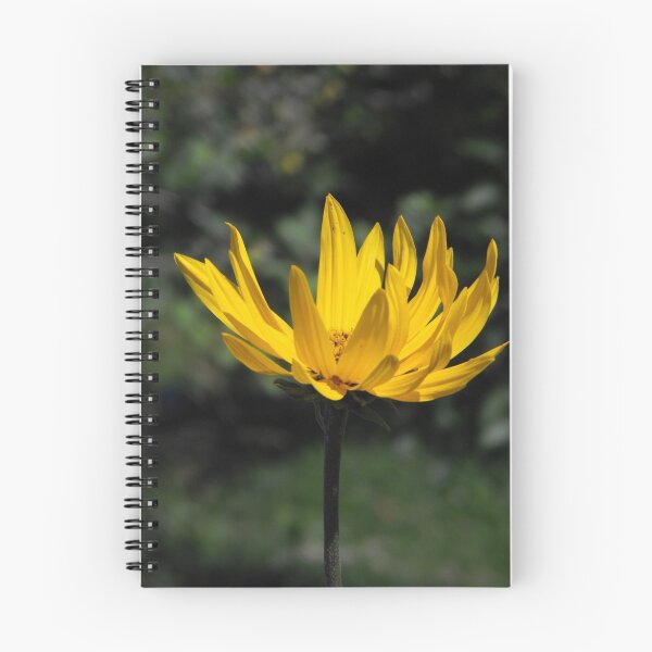 Item preview, Maximilian Sunflower designed and sold by Jan Tribe.