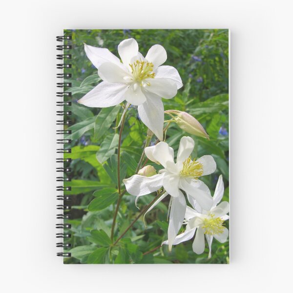 Item preview, pride in white designed and sold by Robert C Richmond.