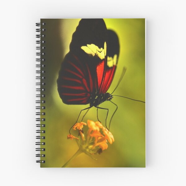 Item preview, Red Beauty designed and sold by Rosy Kueng Photography.
