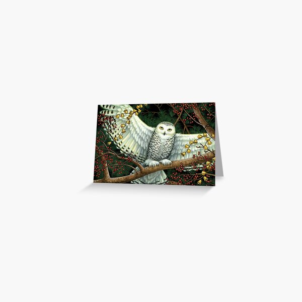 Winter Owl Greeting Card