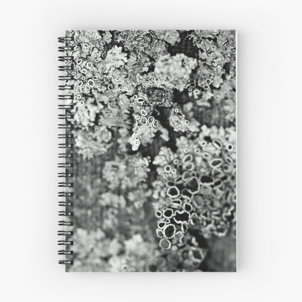 Item preview, A Different World designed and sold by Ebbers.