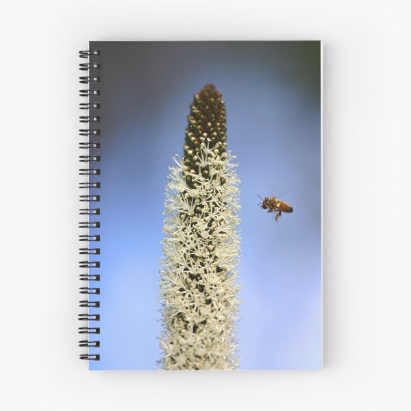Item preview, xanthorrhea flower and bee designed and sold by saltwatershots.