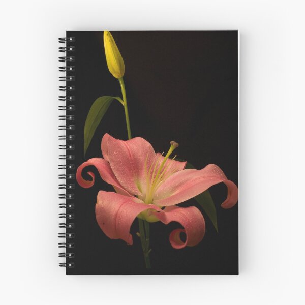 Artikelvorschau, The Flower entworfen und verkauft von B.J. Robertson.