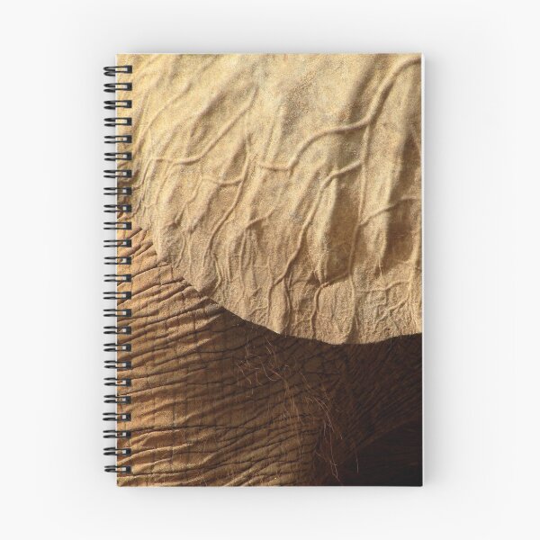 Item preview, Surface life designed and sold by Hélène David-Cuny.