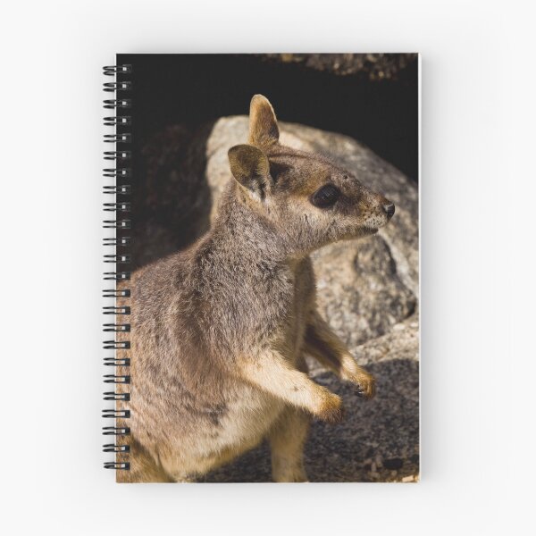 Item preview, Rock Wallaby - Mareeba designed and sold by slim6y.