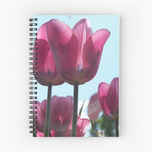 Artikelvorschau, Pink Tullips entworfen und verkauft von pixiepogs.