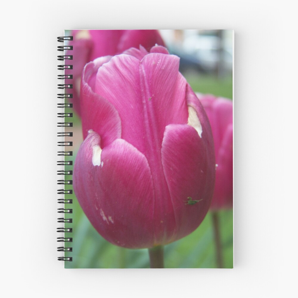 Item preview, Spiral Notebook designed and sold by pixiepogs.