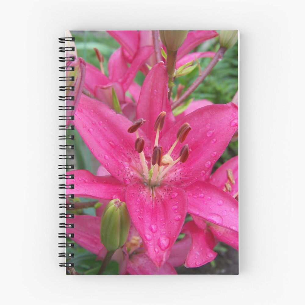 Item preview, Spiral Notebook designed and sold by pixiepogs.