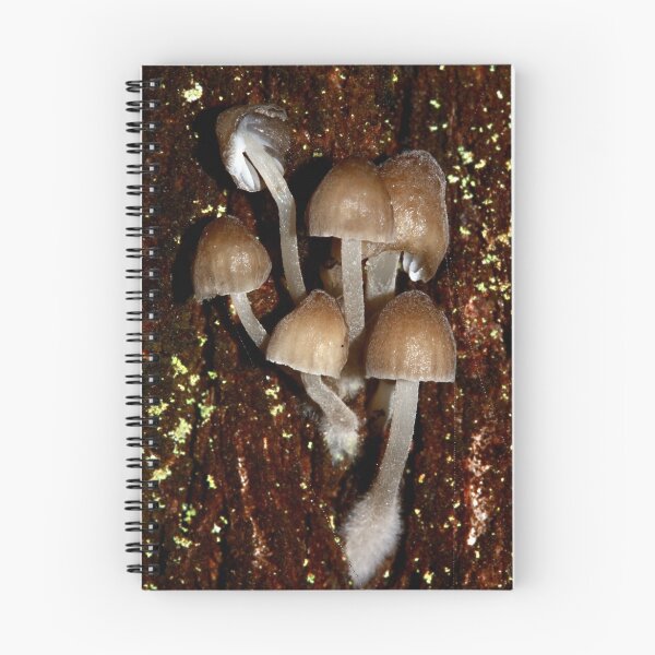 Item preview, Timber n Toadstools designed and sold by WendyJC.