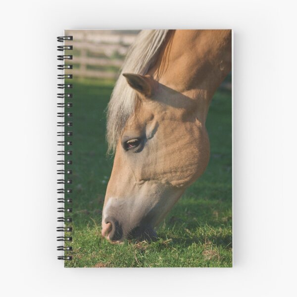 Aperçu de l'œuvre tête de chevaux 2 créée et vendue par 8oss.