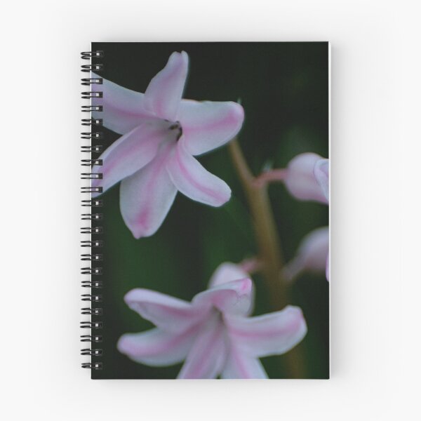 Item preview, Seniority designed and sold by Lita Medinger.