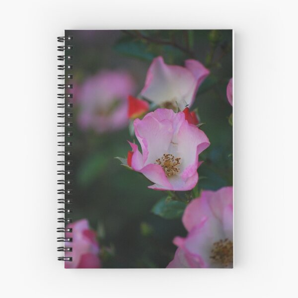 Item preview, Dog Rose designed and sold by Rowan  Lewgalon.