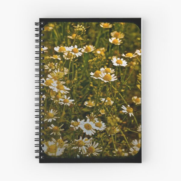 Item preview, Daisies!! designed and sold by Catherine Hadler.