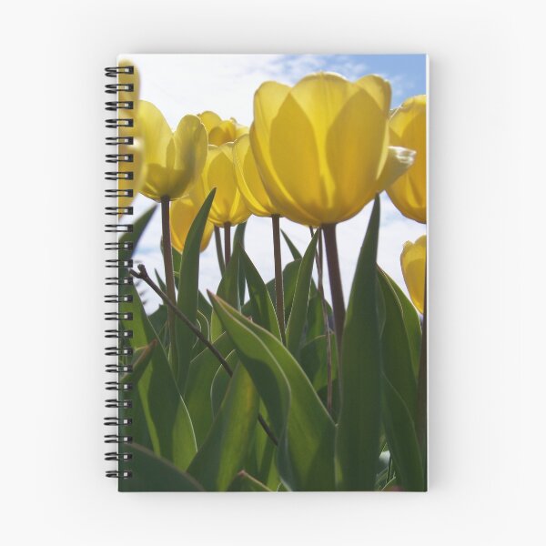 Item preview, Yellow Tulips designed and sold by pixiepogs.