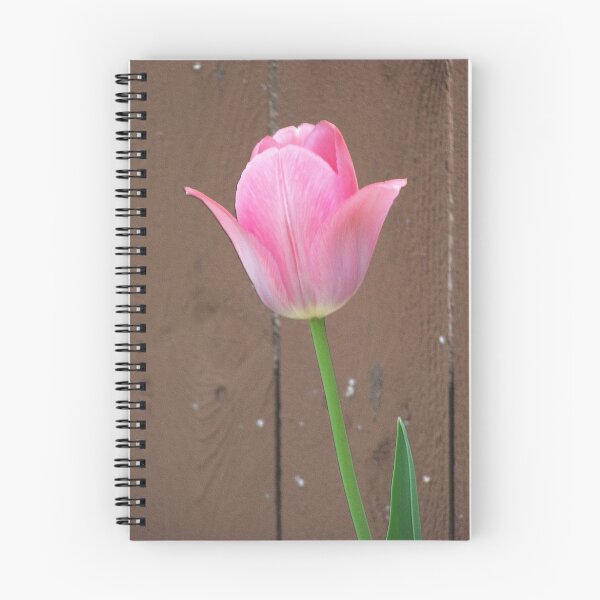 Item preview, Pink TUlip designed and sold by pixiepogs.