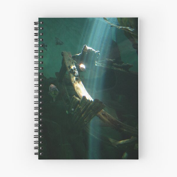 Item preview, Ship wreck designed and sold by Laddie Halupa.
