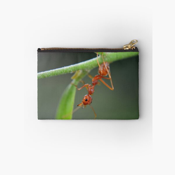 Item preview, red ant designed and sold by michelle meenawong.