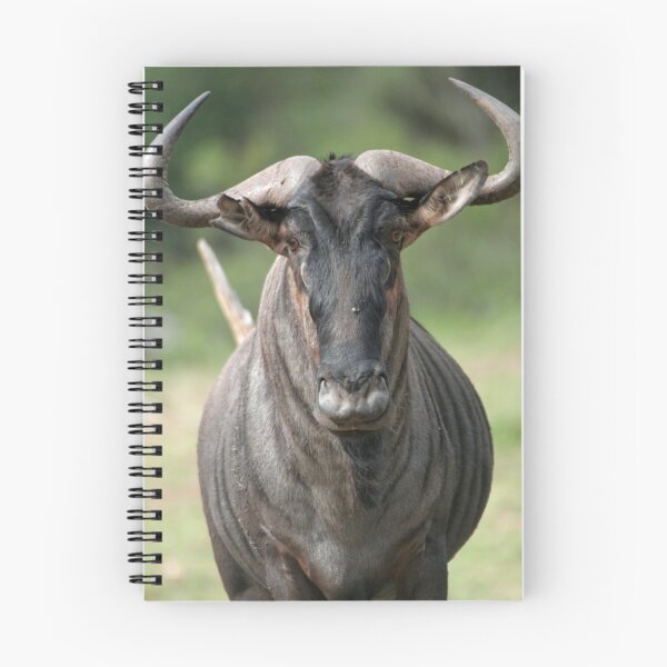 Item preview, Wildebeest stare designed and sold by Rebecca Conroy.