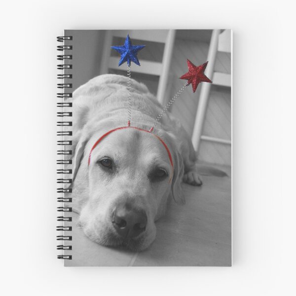 Item preview, Happy 4th of July...or whatever you like designed and sold by seagrl44.