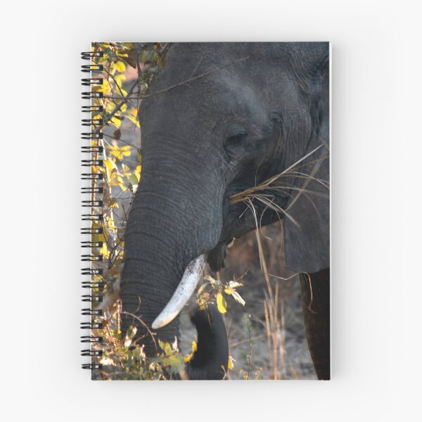 Item preview, Elephant designed and sold by DUNCAN DAVIE.