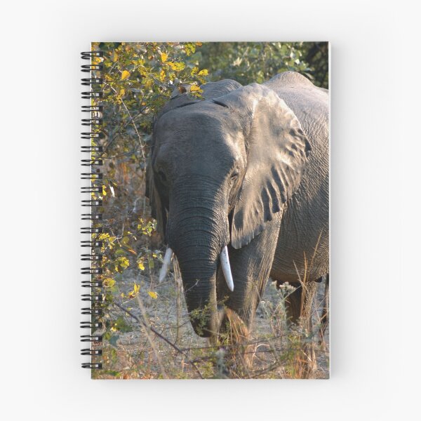Item preview, Elephant designed and sold by DUNCAN DAVIE.