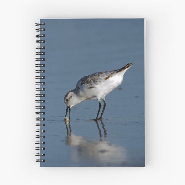 Item preview, Sanderling with Sand Crab designed and sold by Michael Mill.