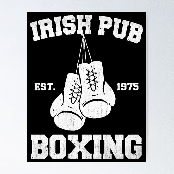 Notre Dame Football Fighting Irish Boxing Leprechaun Steel Poster