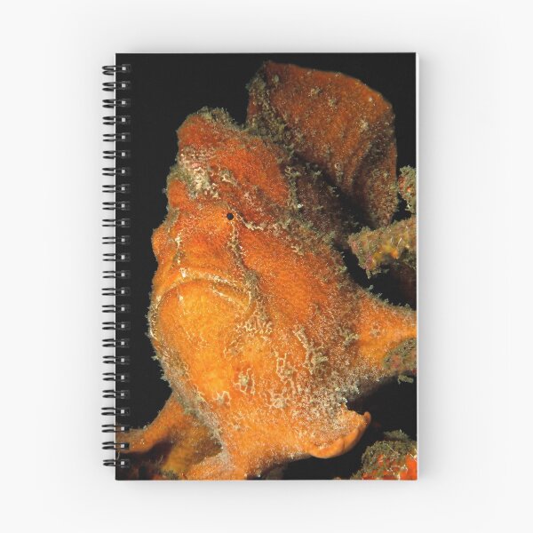 Item preview, Orange Giant Frogfish designed and sold by MattTworkowski.