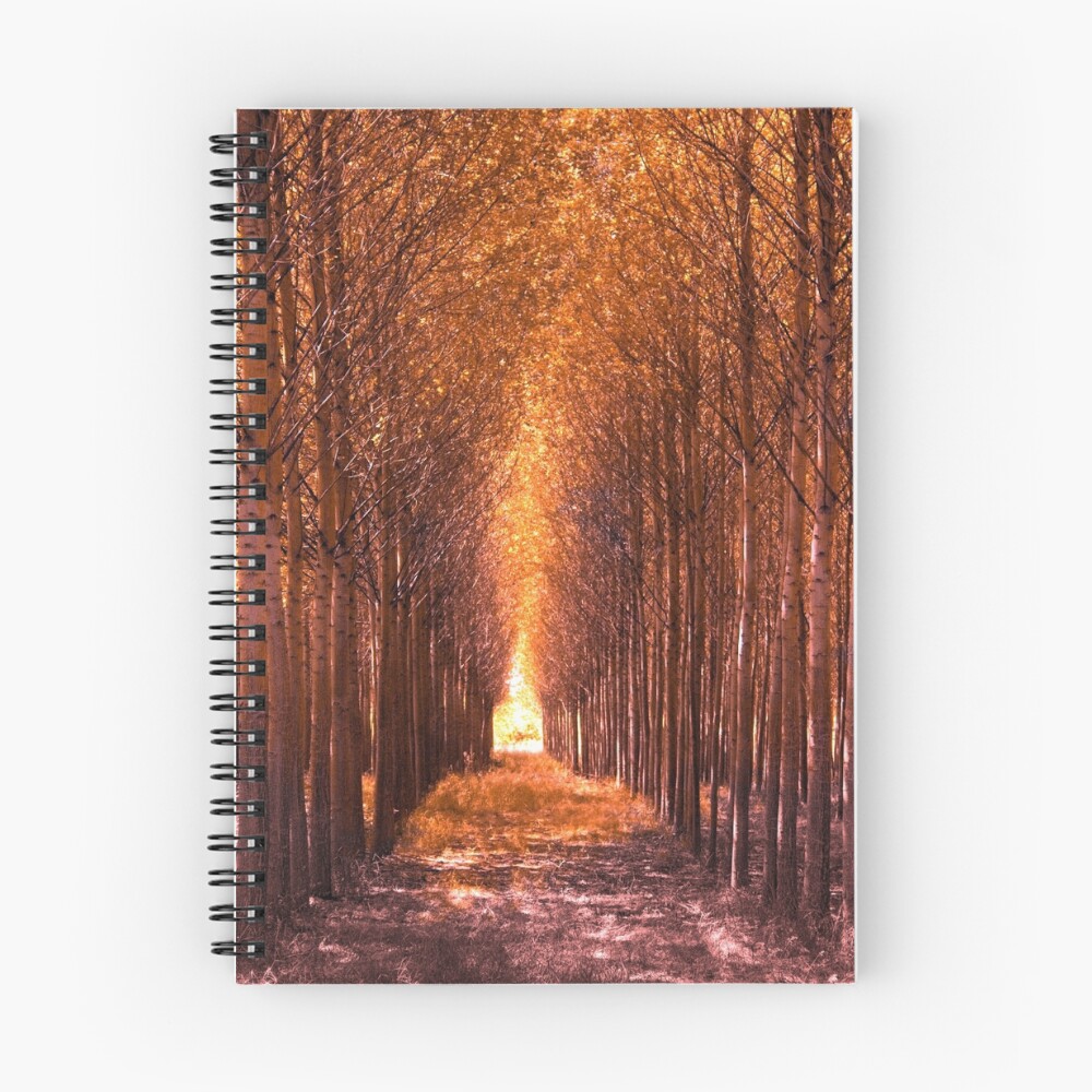 Item preview, Spiral Notebook designed and sold by DigitalView.