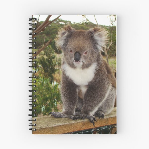 Item preview, Young bloke designed and sold by Anne van Alkemade.